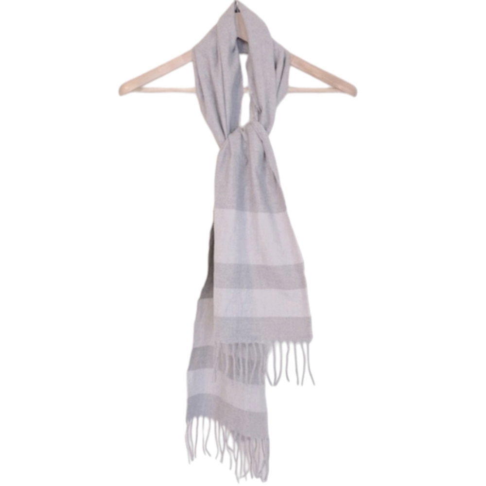 NWOT | Express Striped Fringe Scarf